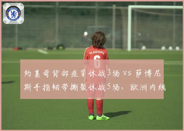 约基奇背部痉挛休战3场 vs 萨博尼斯手指韧带撕裂休战5场，欧洲内线伤病耐受力对比