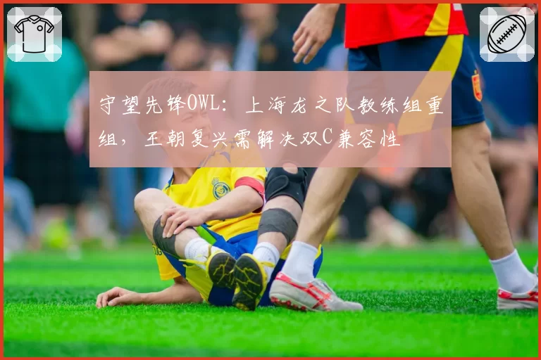 守望先锋OWL:上海龙之队教练组重组,王朝复兴需解决双C兼容性